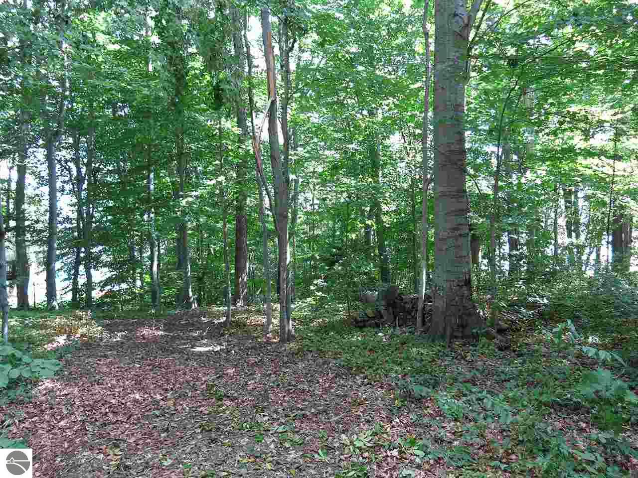 3921 E Shore Dr, Grawn, MI 49637 photo 9