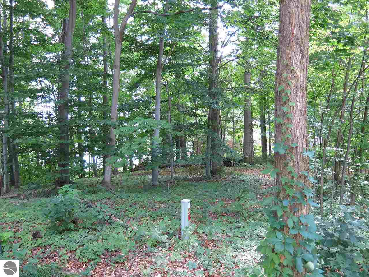 3921 E Shore Dr, Grawn, MI 49637 photo 5