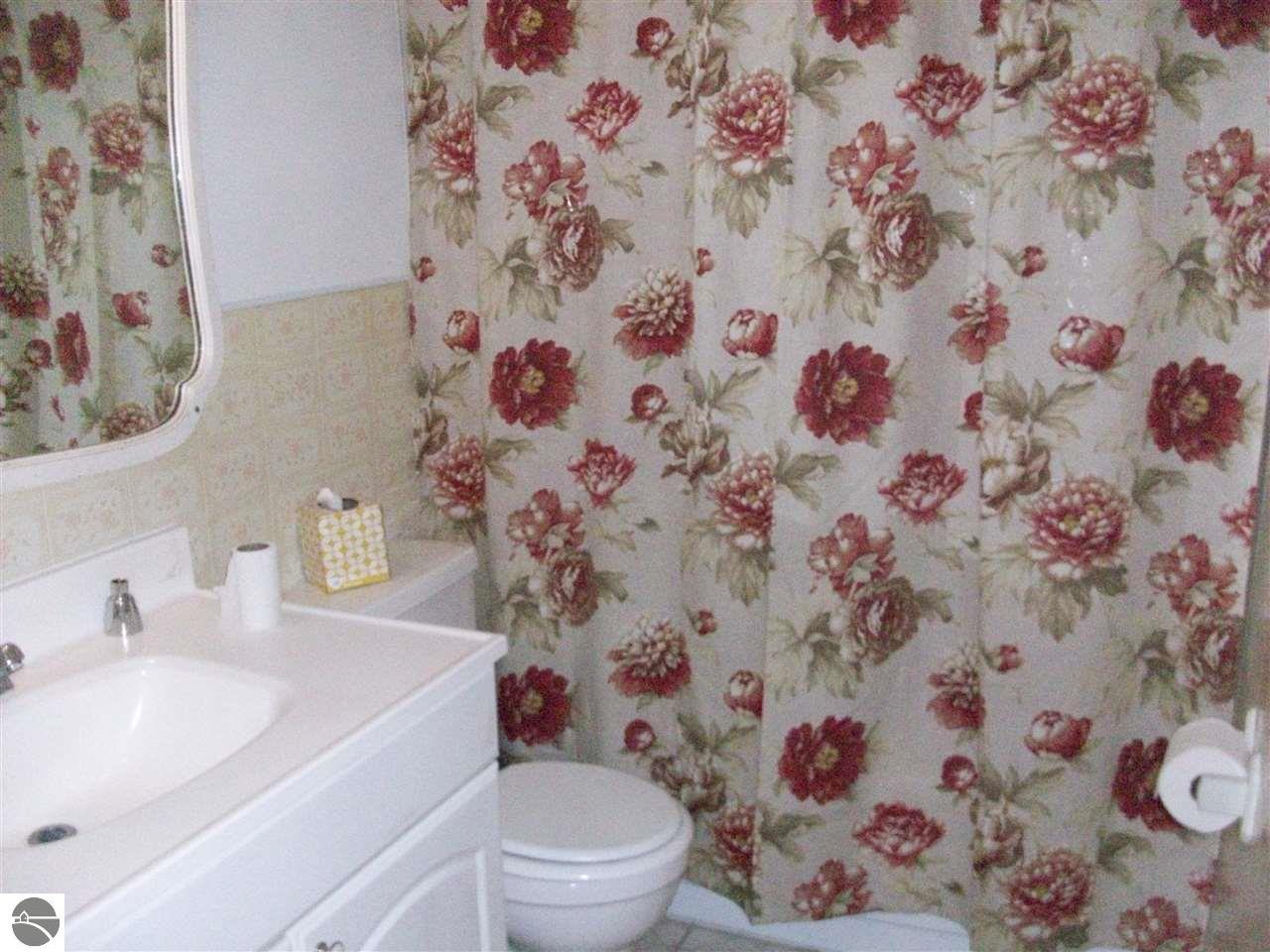 1002 Ely St, Alma, MI 48801 photo 10