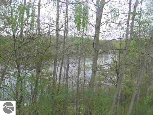 728 Everett Trl, Hale, MI 48739 photo 2
