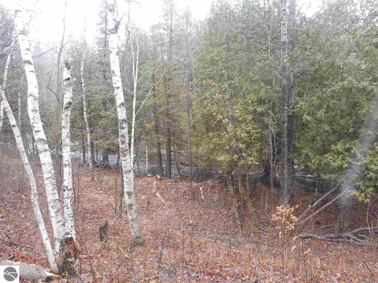 211 Hatchery Rd, Farwell, MI 48622 photo 4