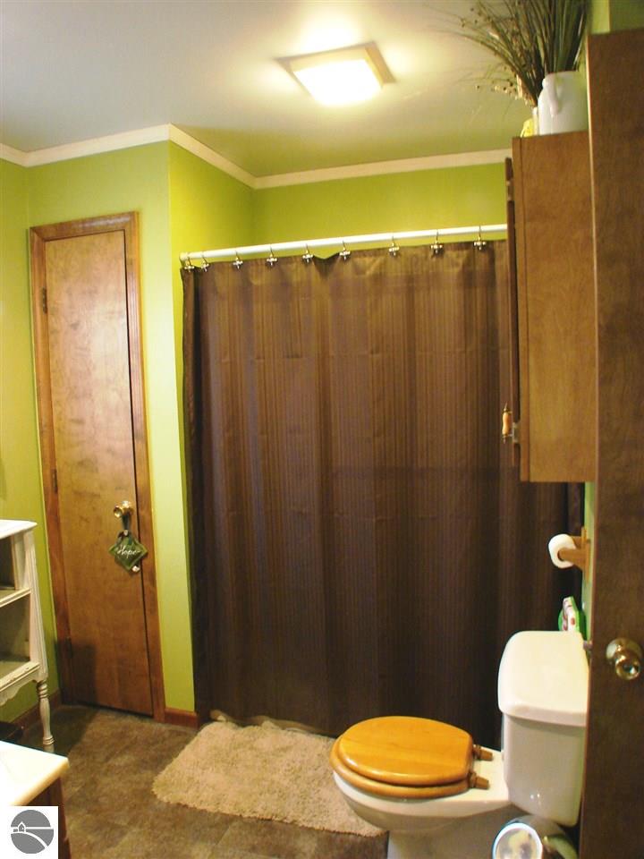 228 W Newark St, Ithaca, MI 48847 photo 10
