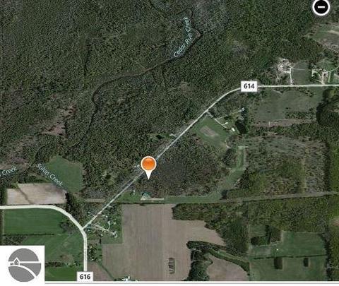 5010 E Gallivan Rd, Cedar, MI 49621 photo 34
