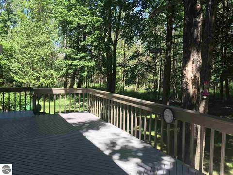5010 E Gallivan Rd, Cedar, MI 49621 photo 29