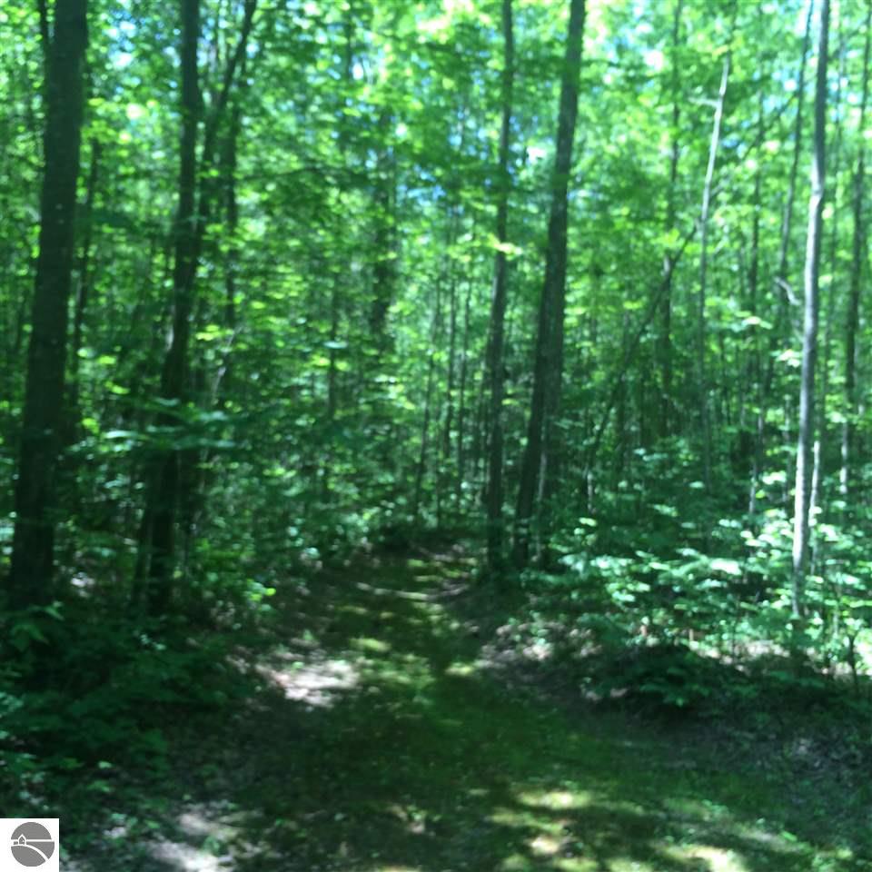 4428 Baker Dr, Alger, MI 48610 photo 10