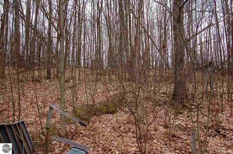 4687 Vinton Rd, Williamsburg, MI 49690 photo 2