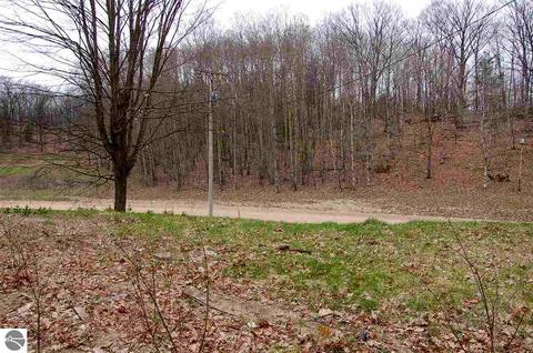 4687 Vinton Rd, Williamsburg, MI 49690 photo 3