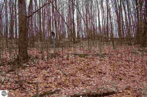 4687 Vinton Rd, Williamsburg, MI 49690 photo 1