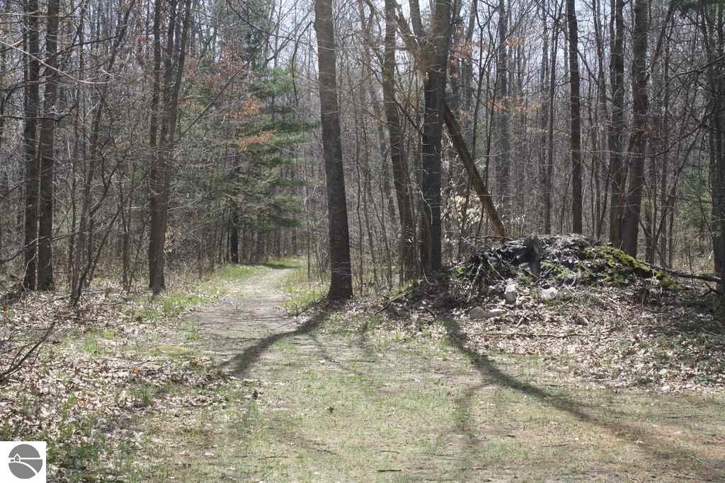 5750 E North County Line Rd, Edmore, MI 48829 photo 9