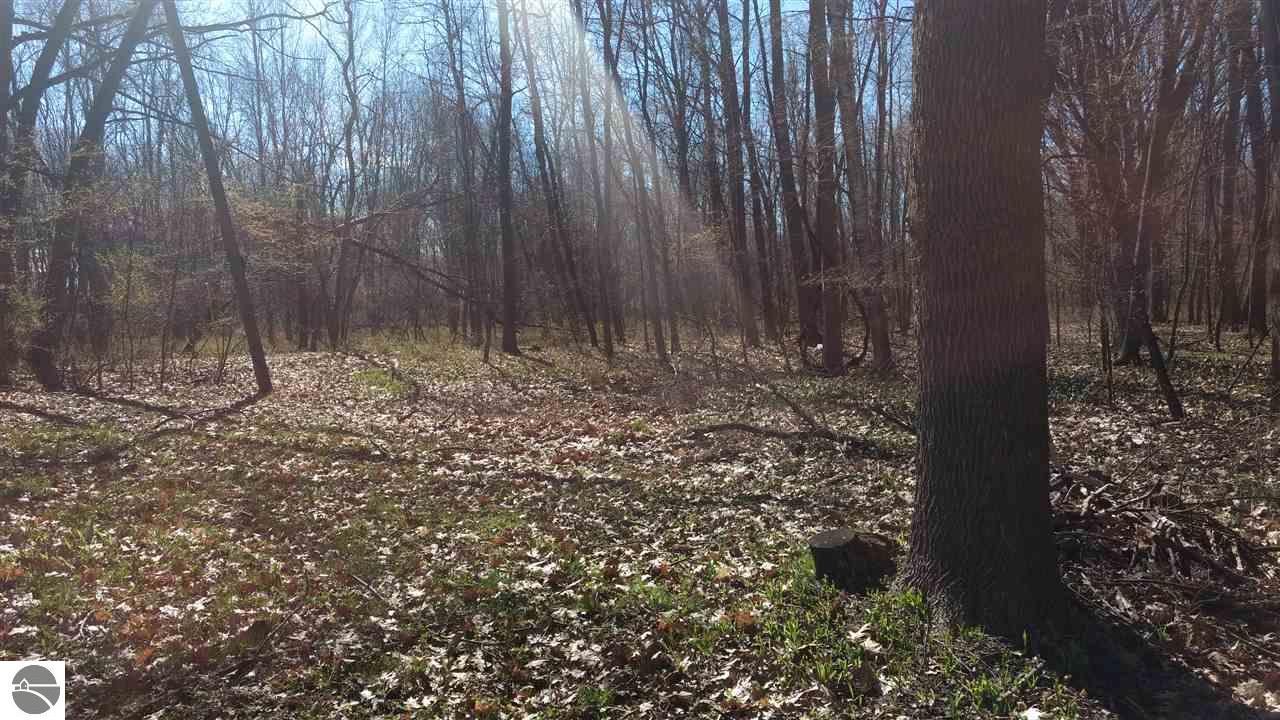 3336 Point Augres Rd, Au Gres, MI 48703 photo 5