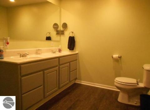 212 Emerson St, Ithaca, MI 48847 photo 22