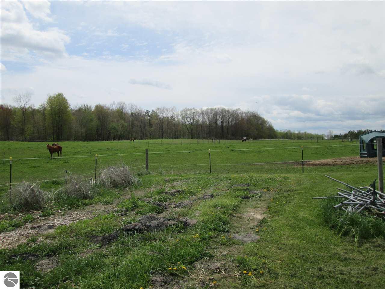 7194 Sponseller Dr, Shepherd, MI 48883 photo 27