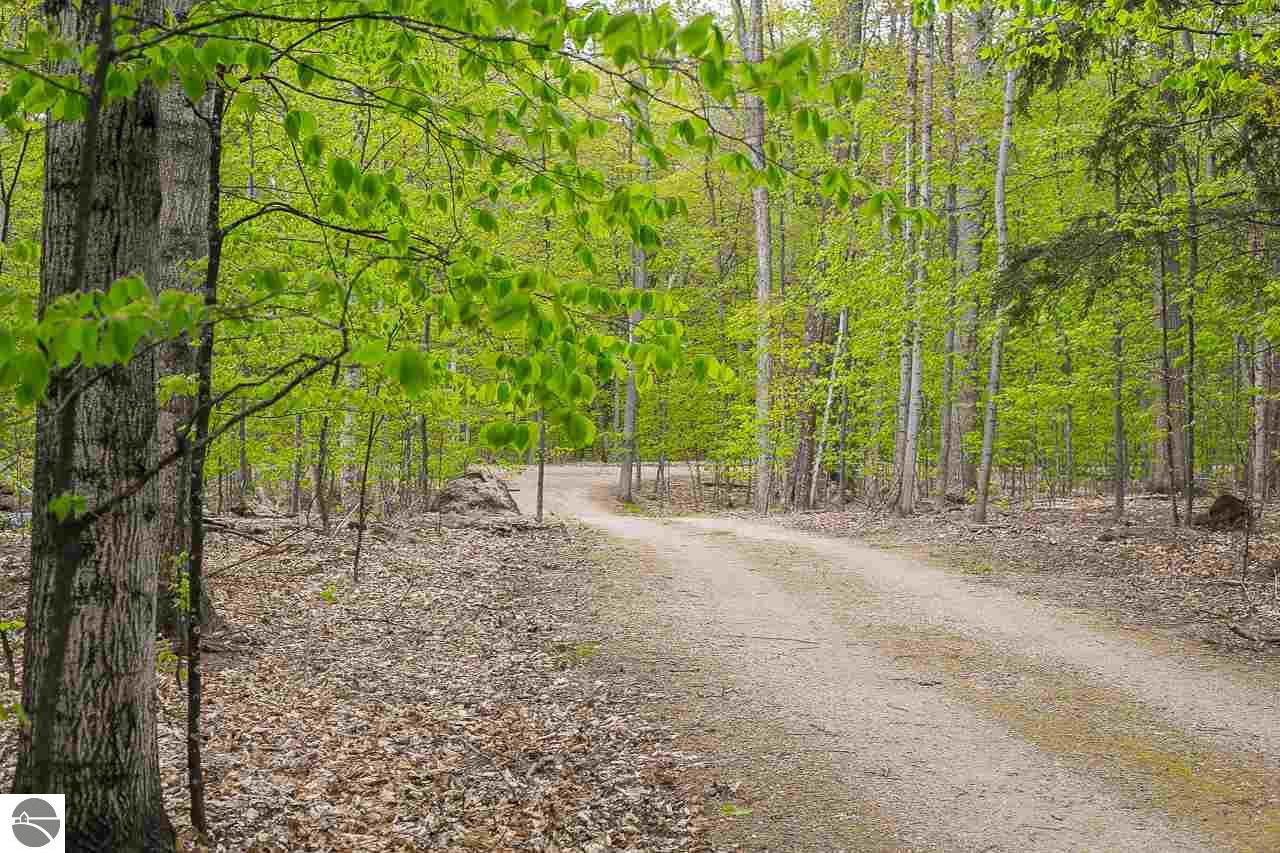 172 E Traverse Lake Rd, Cedar, MI 49621 photo 35
