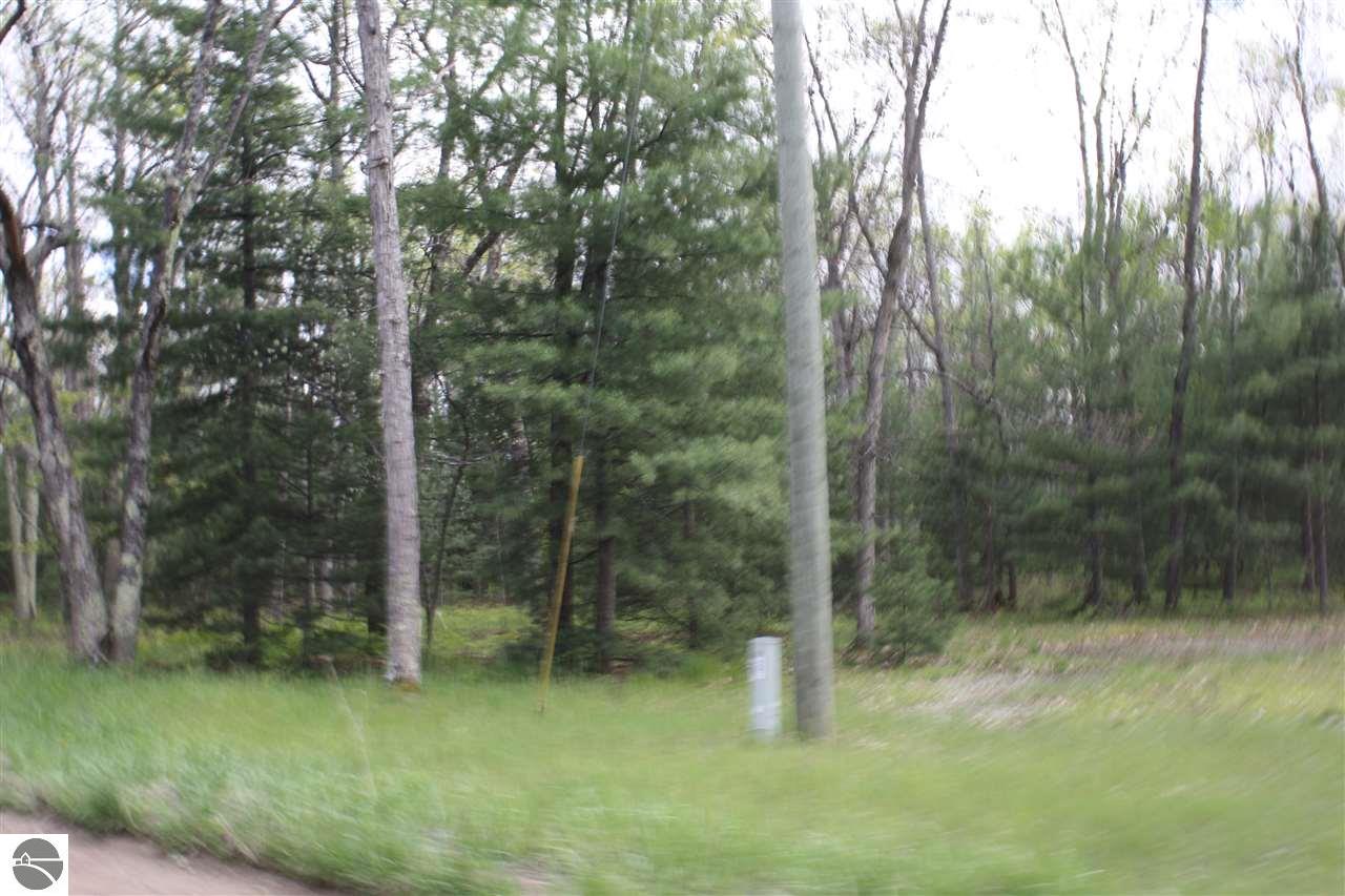 4620 Lyon Dr, Interlochen, MI 49643 photo 21