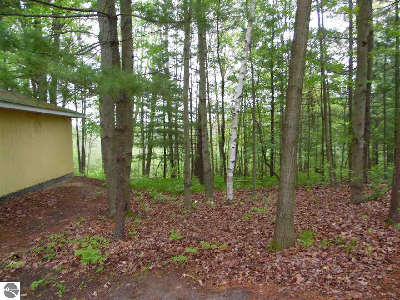 593 Everett Trl, Hale, MI 48739 photo 9