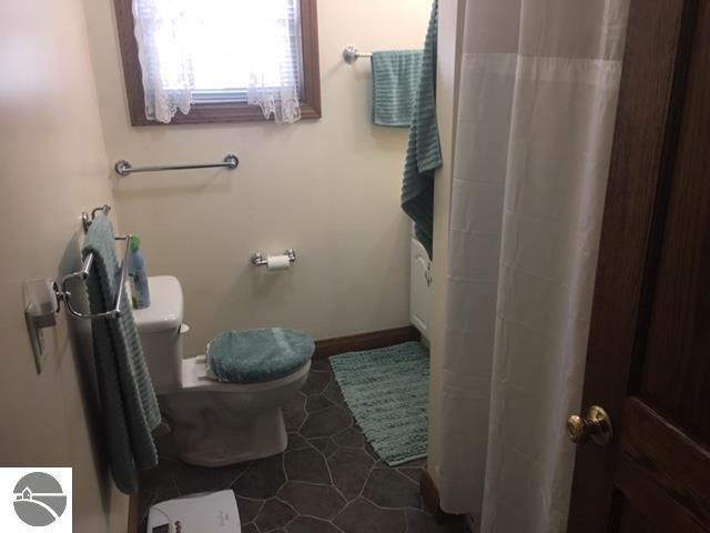 136 E Wright Ave, Shepherd, MI 48883 photo 13