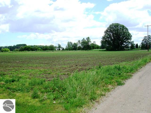 9842 E Pleasant Valley Rd, Shepherd, MI 48883 photo 28