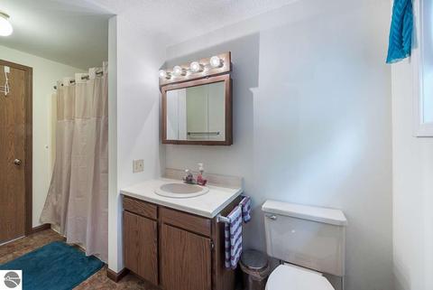 3731 E Mill Rd, Grawn, MI 49637 photo 11