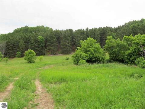 6315 E Lincoln Rd, Cedar, MI 49621 photo 11