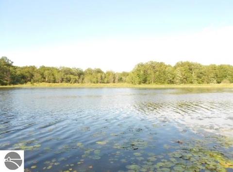 323 E Surrey Rd, Farwell, MI 48622 photo 26