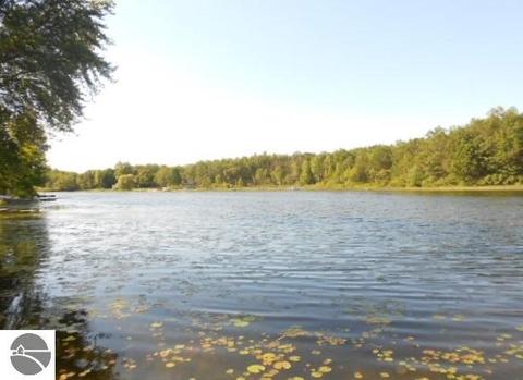 323 E Surrey Rd, Farwell, MI 48622 photo 25