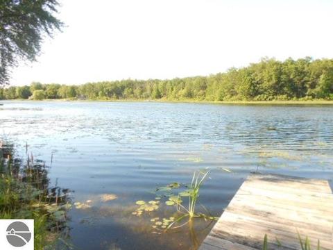323 E Surrey Rd, Farwell, MI 48622 photo 24