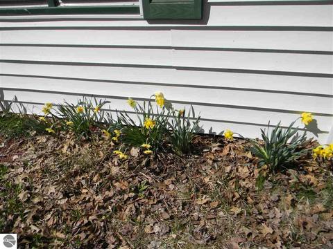 3537 Doll Rd, Lupton, MI 48635 photo 26