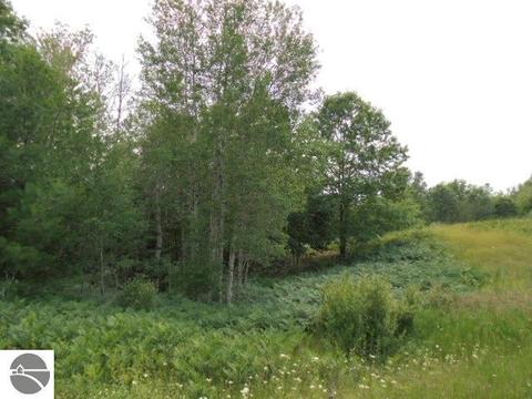 2130 N Fire Rd, Twining, MI 48766 photo 18