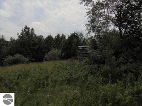 2130 N Fire Rd, Twining, MI 48766 photo 12