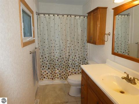 217 N Barnes St, Ithaca, MI 48847 photo 18