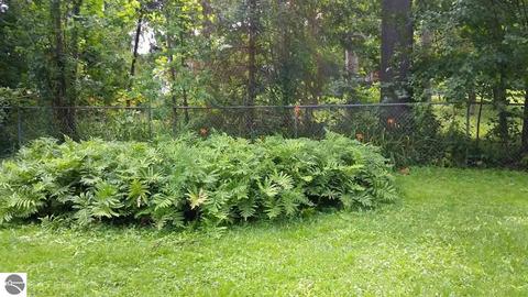 320 N Grv, Standish, MI 48658 photo 60