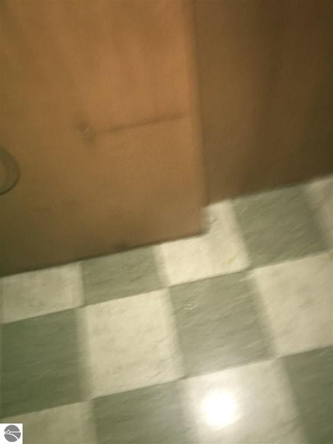 780 Renfrew Rd, Alma, MI 48801 photo 19