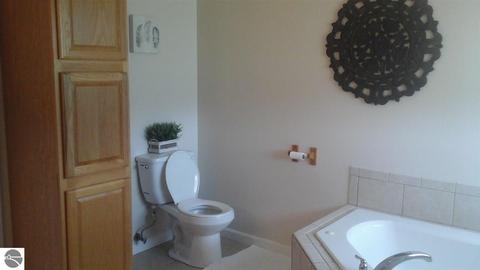 4390 S Loomis Rd, Shepherd, MI 48883 photo 21