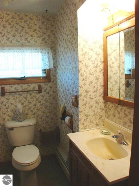 430 N Saint Johns St, Ithaca, MI 48847 photo 22