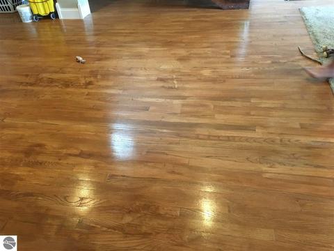 3426 E Blanchard Rd, Shepherd, MI 48883 photo 5
