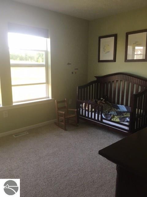 7485 Meadows Dr, Cedar, MI 49621 photo 21