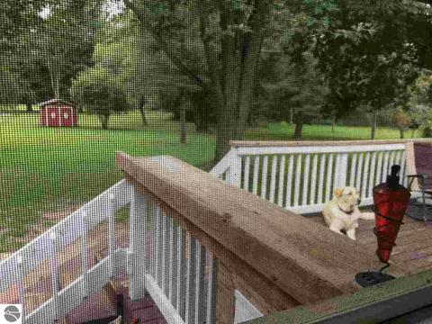 724 E Cedar St, Standish, MI 48658 photo 14