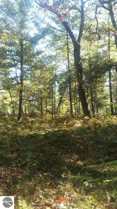 16750 Poder Dr, Marion, MI 49665 photo 20