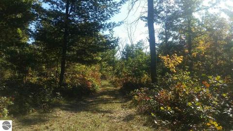 16750 Poder Dr, Marion, MI 49665 photo 17