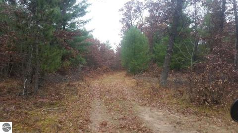 16750 Poder Dr, Marion, MI 49665 photo 1