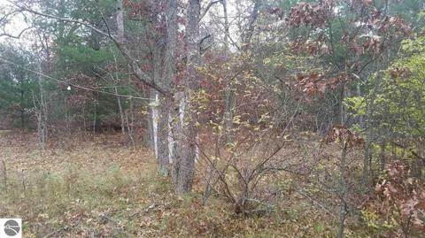 16750 Poder Dr, Marion, MI 49665 photo 16