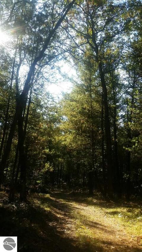 16750 Poder Dr, Marion, MI 49665 photo 21