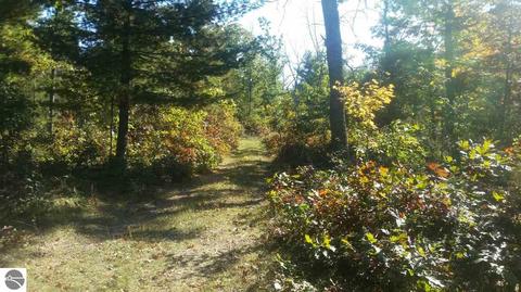 16750 Poder Dr, Marion, MI 49665 photo 19