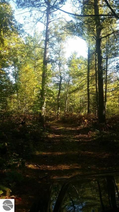 16750 Poder Dr, Marion, MI 49665 photo 22