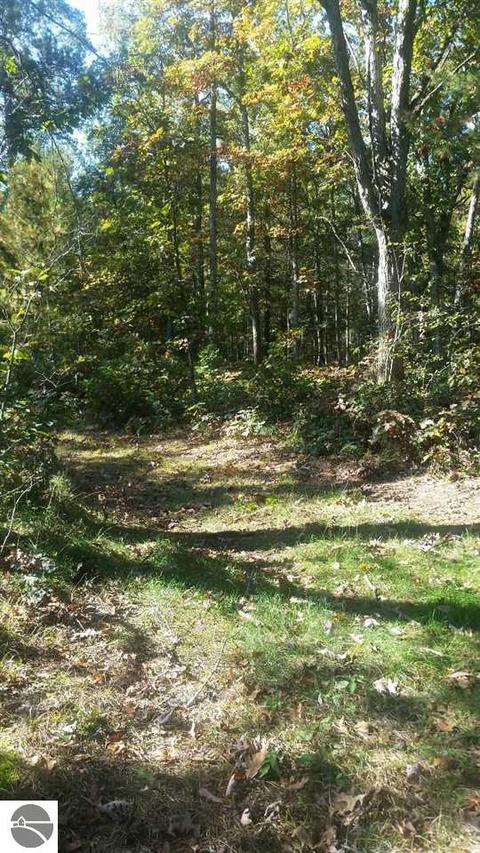 16750 Poder Dr, Marion, MI 49665 photo 18