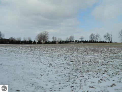 11650 W Remick Rd, Blanchard, MI 49310 photo 35