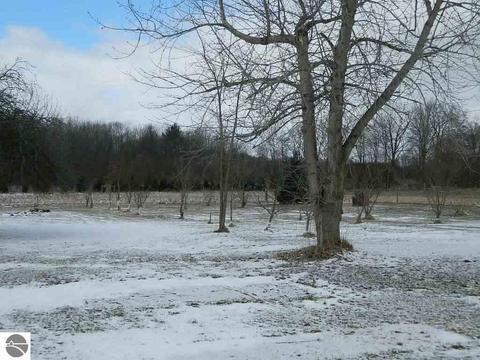11650 W Remick Rd, Blanchard, MI 49310 photo 33