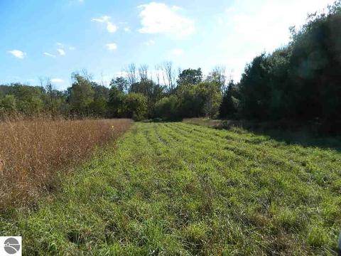 11650 W Remick Rd, Blanchard, MI 49310 photo 25