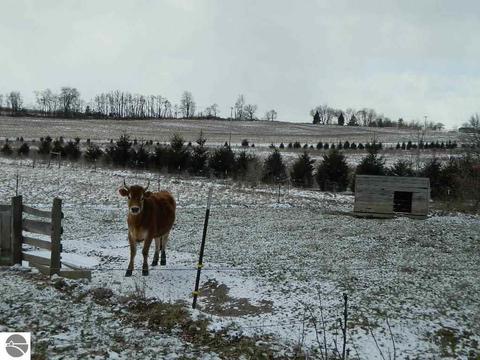11650 W Remick Rd, Blanchard, MI 49310 photo 34