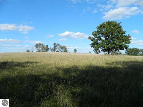 11650 W Remick Rd, Blanchard, MI 49310 photo 39